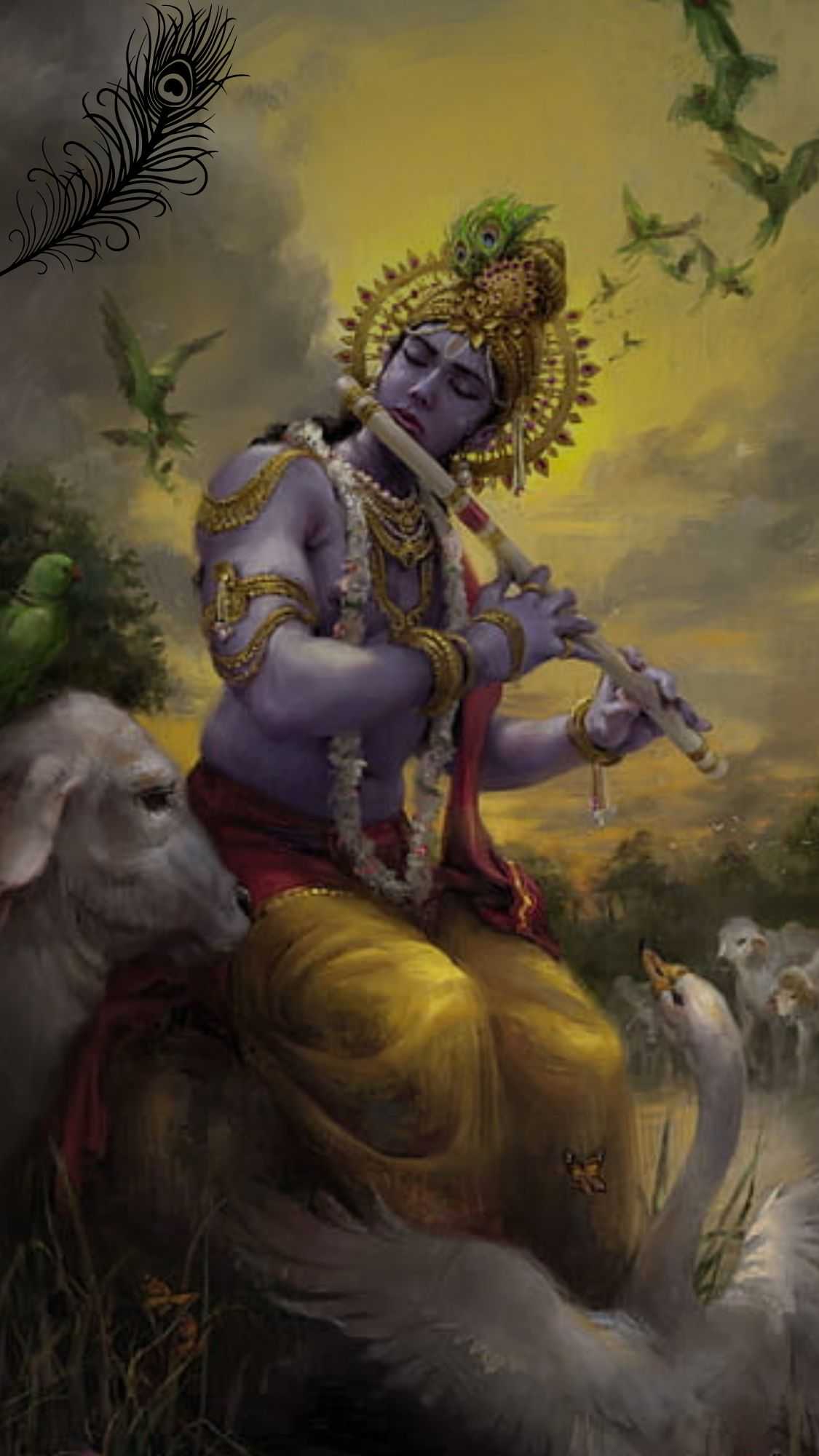 krishndfj