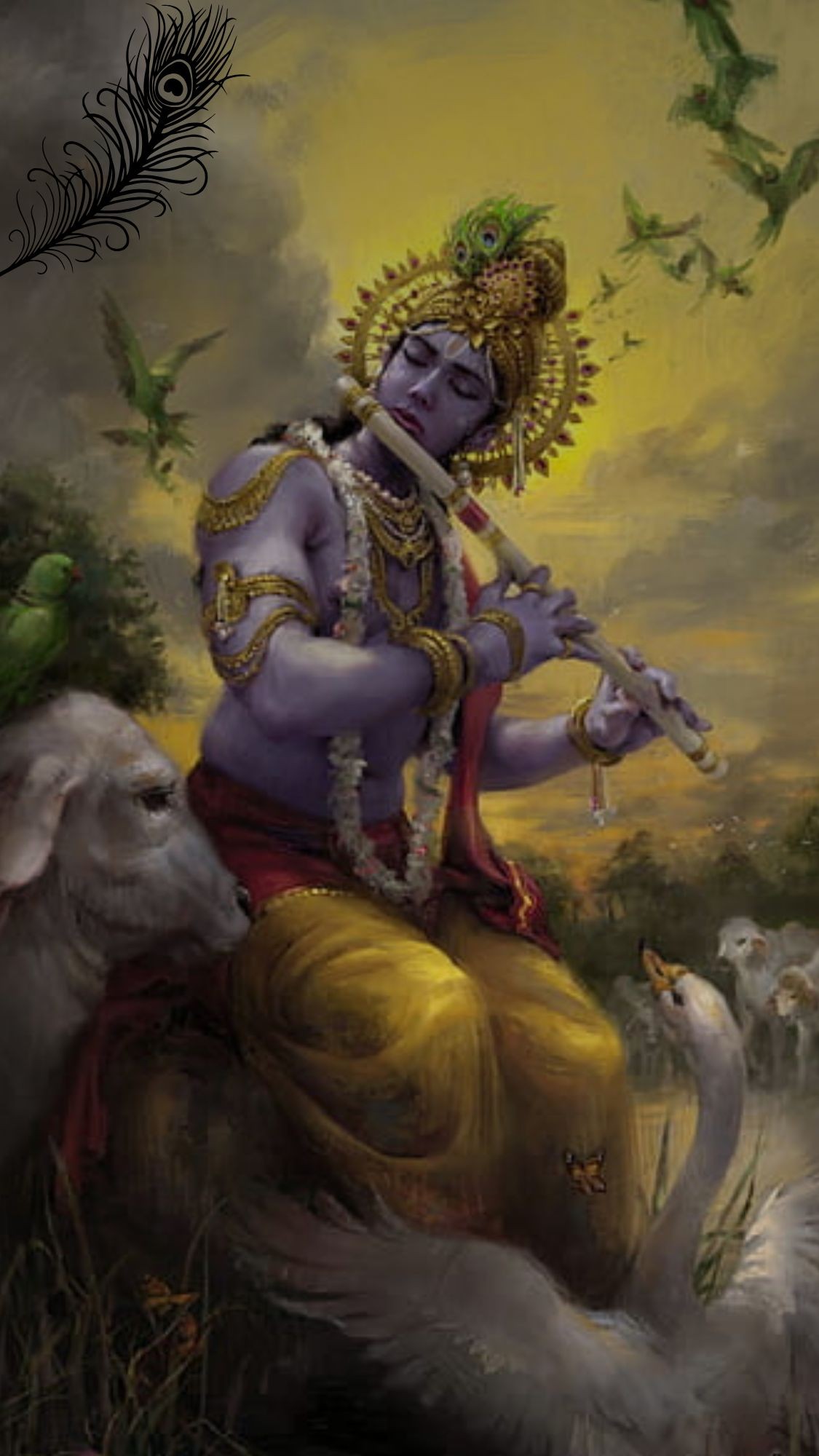 krishndfj