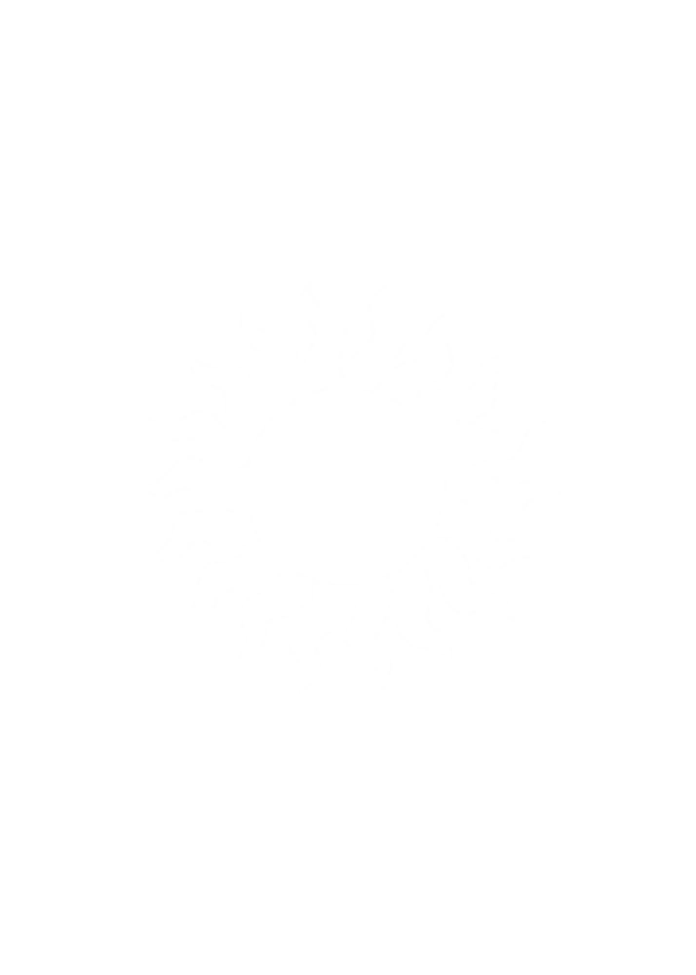 sun sun